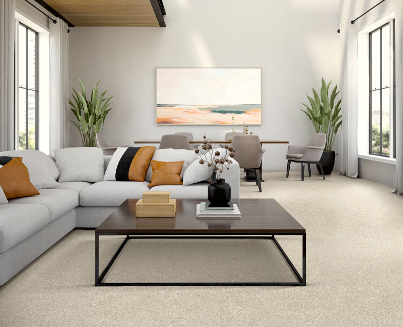 beige carpet in living room with contemporary decor.